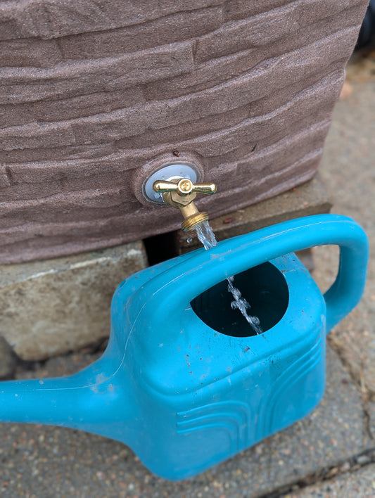 Rain is a Wonderful Thing